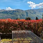 Selva *